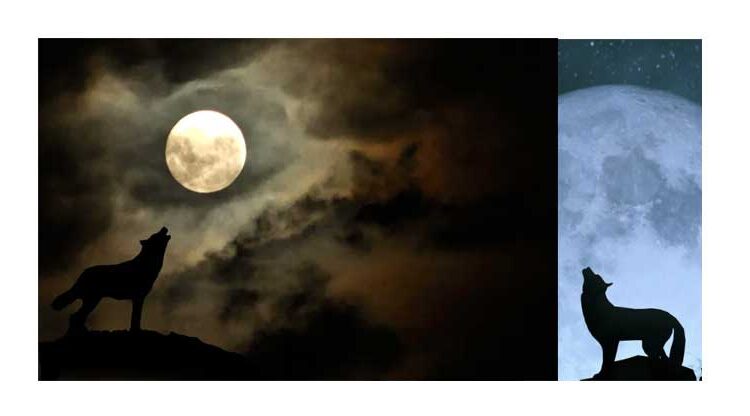 january full moon wolf moon astrology